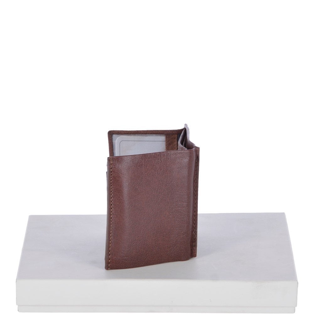 lifestyle (preserved from Shopify)