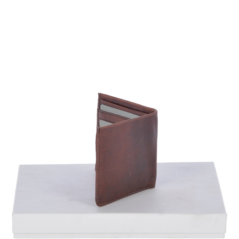 lifestyle (preserved from Shopify)