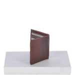 lifestyle (preserved from Shopify)