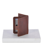 lifestyle (preserved from Shopify)