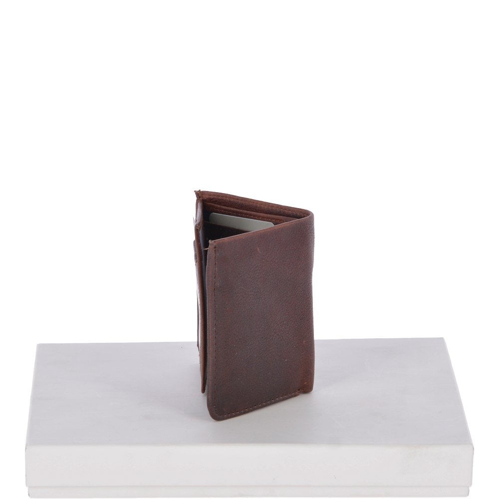 lifestyle (preserved from Shopify)