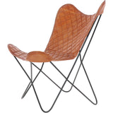 lifestyle (preserved from Shopify)