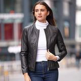 Leather Jacket Black/ddy: AWL-672