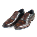 Azor Men's Two Tone Leather Brogue's Brown/Navy: LC WEBSTER