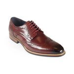 Azor Men's Classic Wingtip Shoe Burgundy: LC VENEZIA