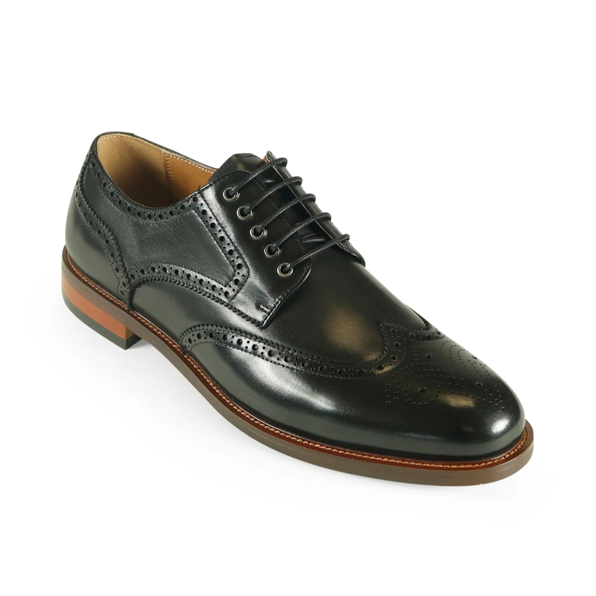 Azor Men's Wingtip Brogue Shoe Black: LC RICHMOND