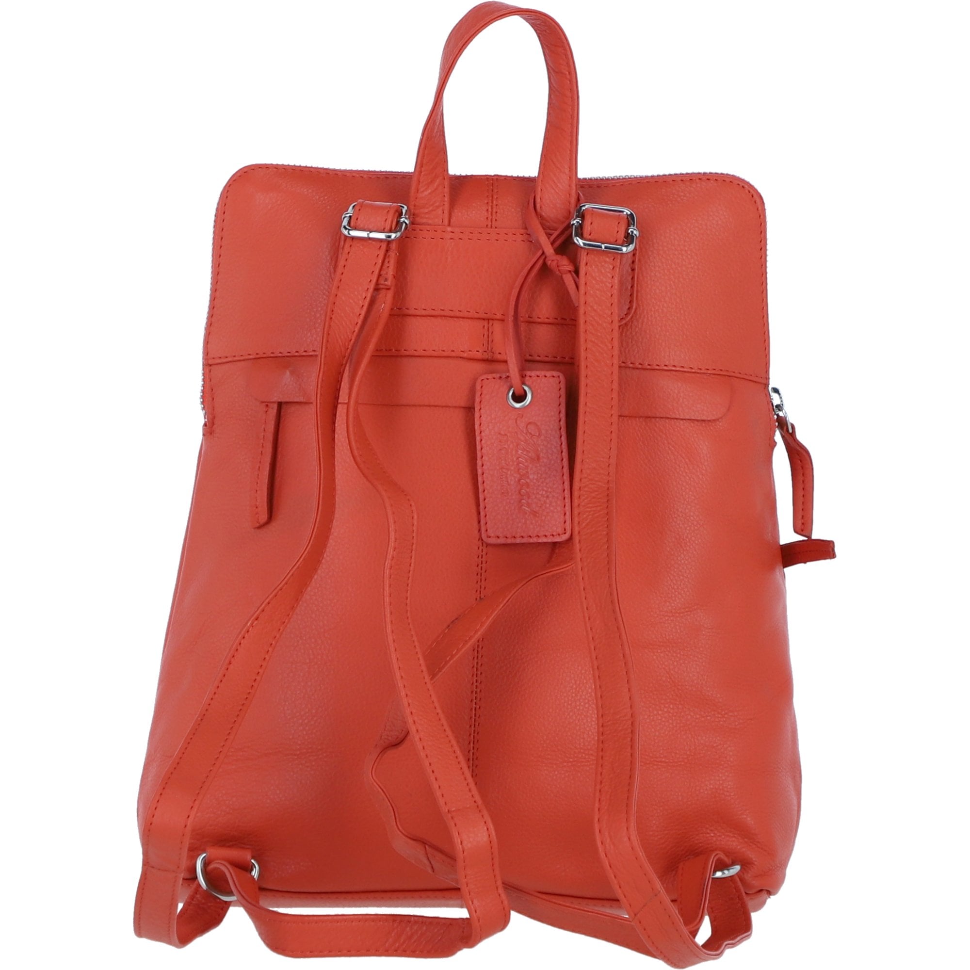 Ashwood Ladies Leather Backpack Tango: Westminster