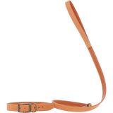 Ashwood Leather Exquisite Dog Lead in Orange: k9-L07