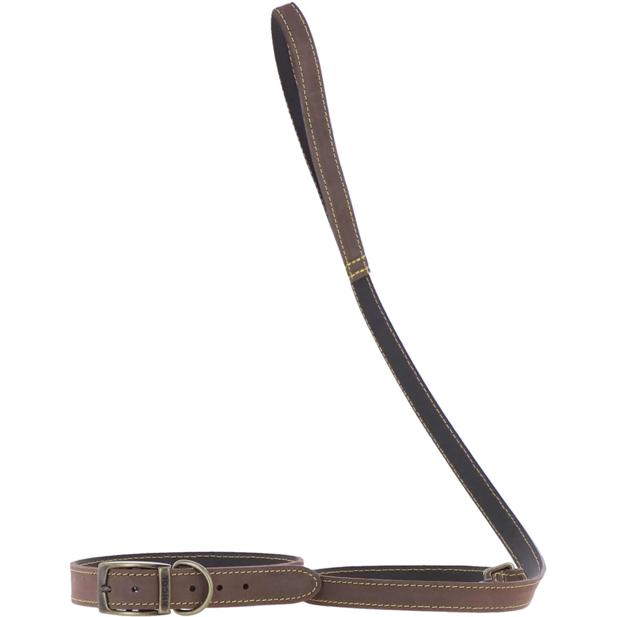 Ashwood Leather Exquisite Dog Lead in Sand: k9-L07