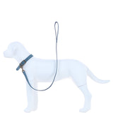 Ashwood Leather Exquisite Dog Collar in Blue: k9-c07