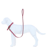 Ashwood Leather Exquisite Dog Collar in Pink: k9-c07