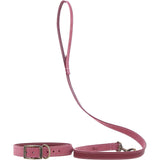 Ashwood Leather Exquisite Dog Collar in Pink: k9-c07