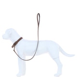 Ashwood Leather Exquisite Dog Collar in Sand: k9-c07