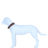 Ashwood Leather Handcrafted & Hand-Painted Multi-Colour Sunflower Design Dog Collar: K9-C15