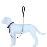 Ashwood Leather Handmade Patchwork Dog Lead in Brn/navy/pink: k9-L06