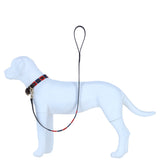 Ashwood Leather Handmade Patchwork Dog Lead in Brn/navy/red: k9-L06