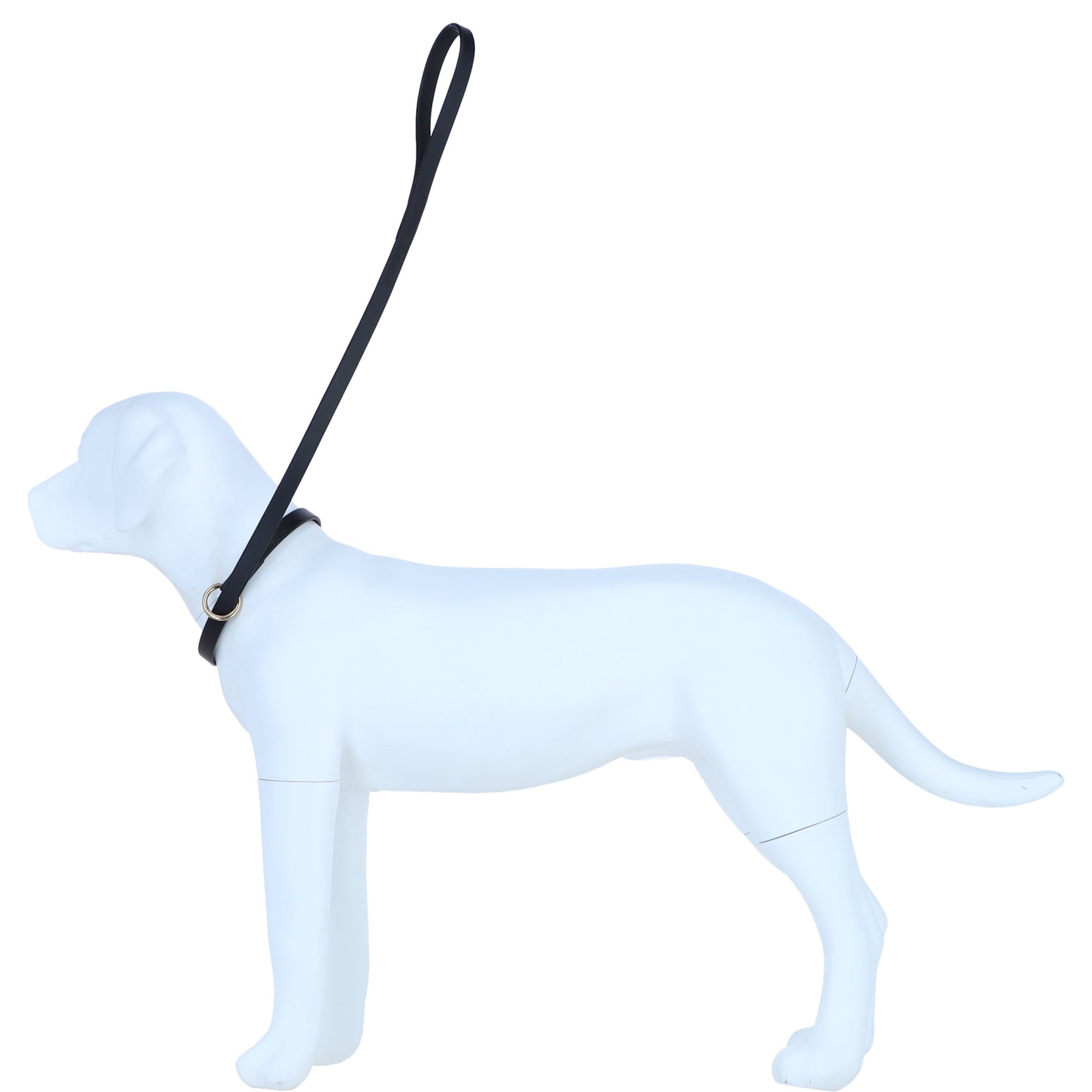 Genuine Leather Slip Lead for Dogs (2-in-1 Dog Leash & Collar) with Gold Metal Ring in Black: K9-L16