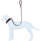 Ashwood Leather Padded Dog Collar with Solid Brass D-Ring Attachment in Brown – K9-C05