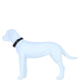 Genuine Leather Collar with Brass Hardware & Adjustable Buckle Fastening in Black: K9-C12