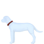 Genuine Leather Collar with Brass Hardware & Adjustable Buckle Fastening in Tan: K9-C12