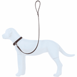 Genuine Leather Pet Leash with Gold Hardware in Brown: K9-L01