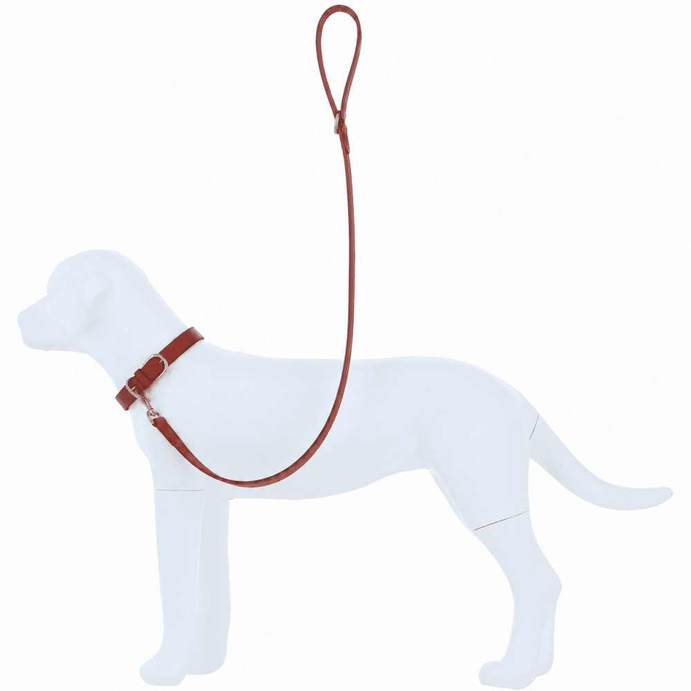 Genuine Leather Pet Leash with Gold Hardware in Tan: K9-L01