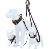 Ashwood Leather Dog Collar with Grab Handle in Brown: K9-C04