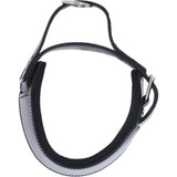 Ashwood Leather Padded Dog Collar with Agitation Handle & Stainless Steel Hardware in Black – K9-C03