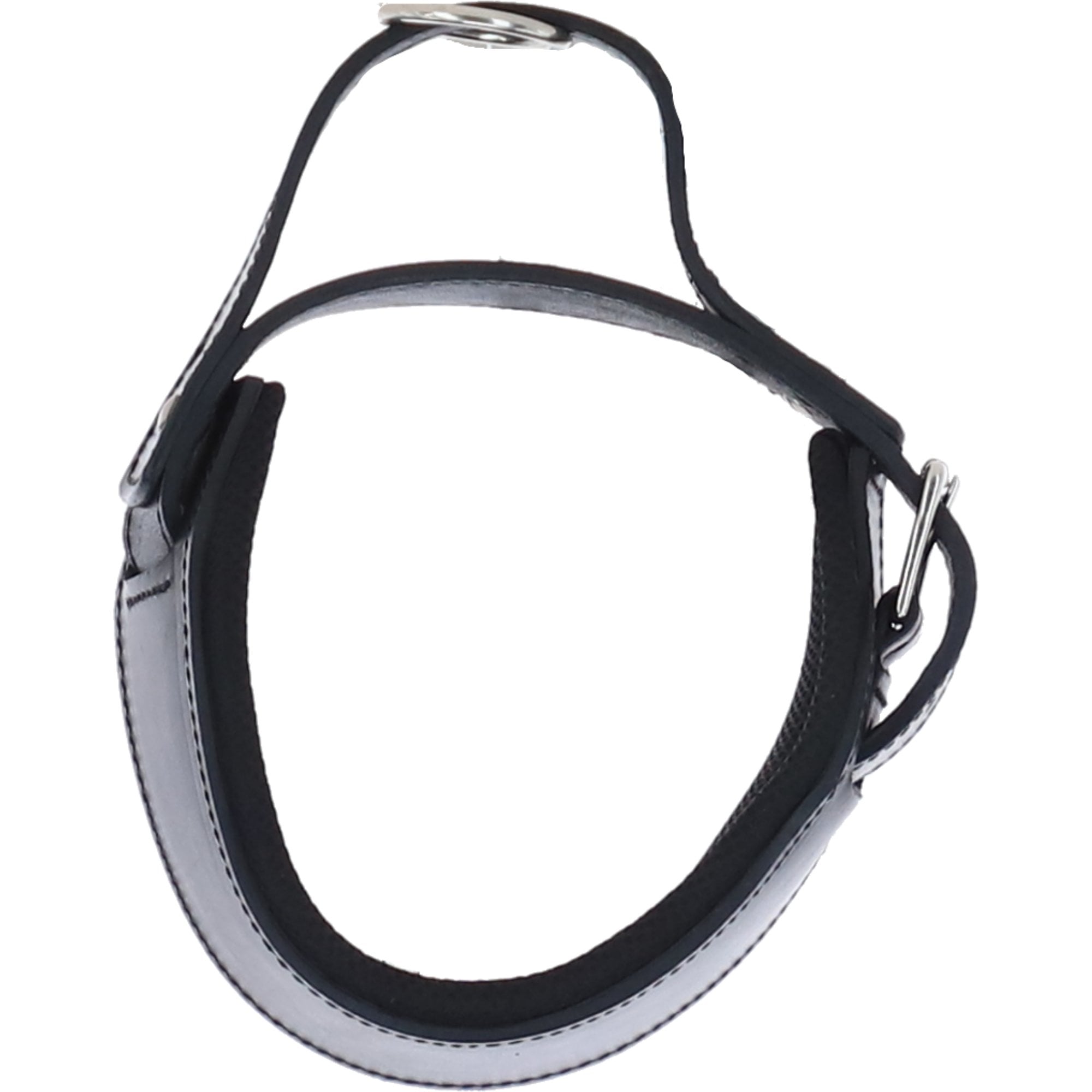 Ashwood Leather Padded Dog Collar with Agitation Handle & Stainless Steel Hardware in Black – K9-C03