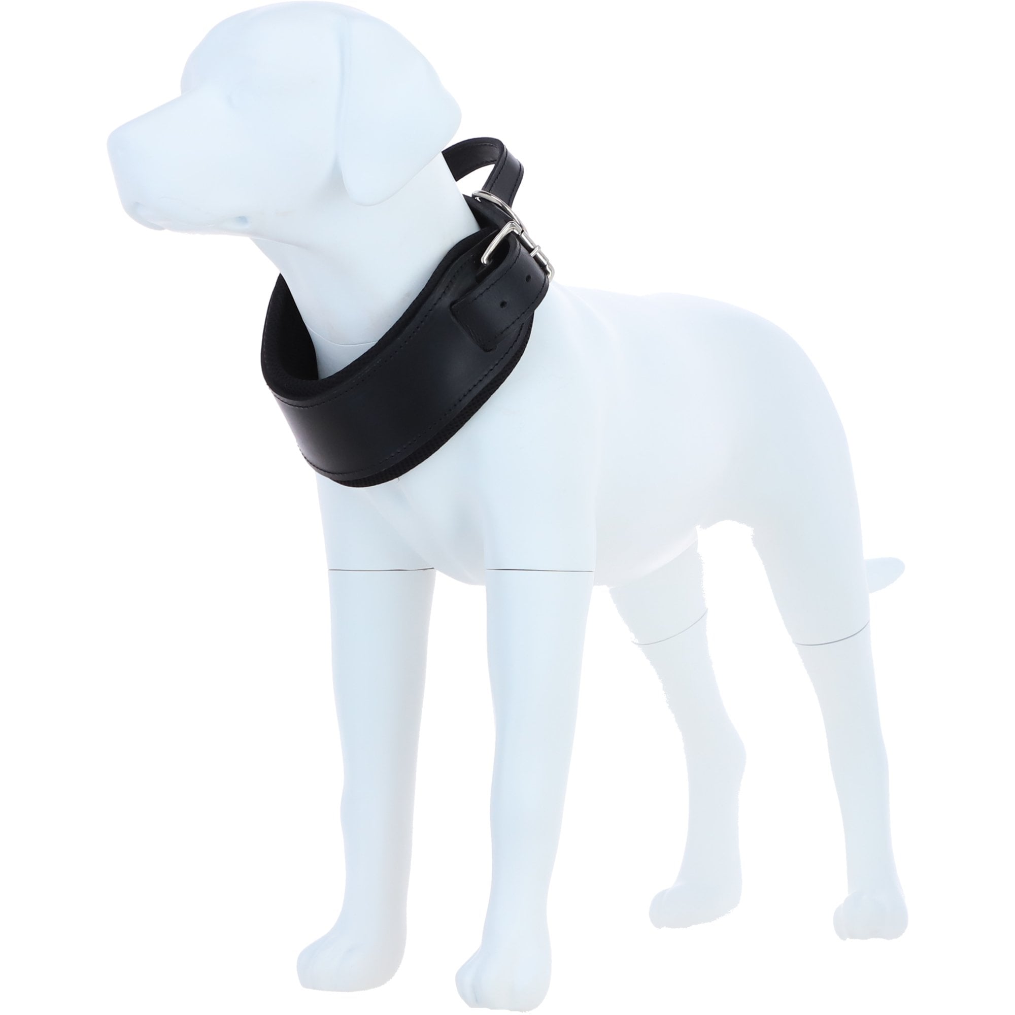 Ashwood Leather Padded Dog Collar with Agitation Handle & Stainless Steel Hardware in Black – K9-C03