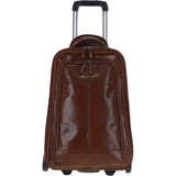 89150 chestnut_0001