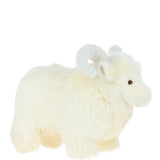 L Lucky sheep_0011