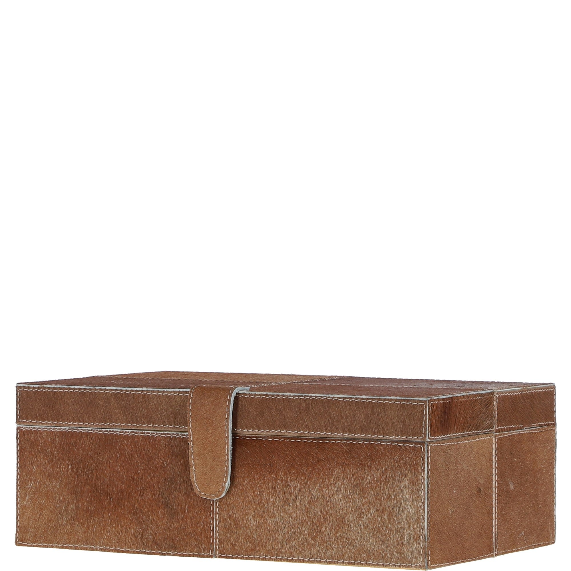 agc49 tan_0002