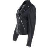 Exquisite Ashwood Leather Ladies Plus Size Biker Jacket Black: AWL-1881 Plus