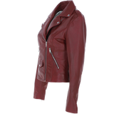 Exquisite Ashwood Leather Ladies Plus Size Biker Jacket Burgundy: AWL-1881 Plus