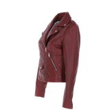 Exquisite Ashwood Leather Ladies Plus Size Biker Jacket Burgundy: AWL-1881 Plus