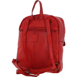 d-74 red_0008