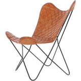 dpc-002 tan_0003