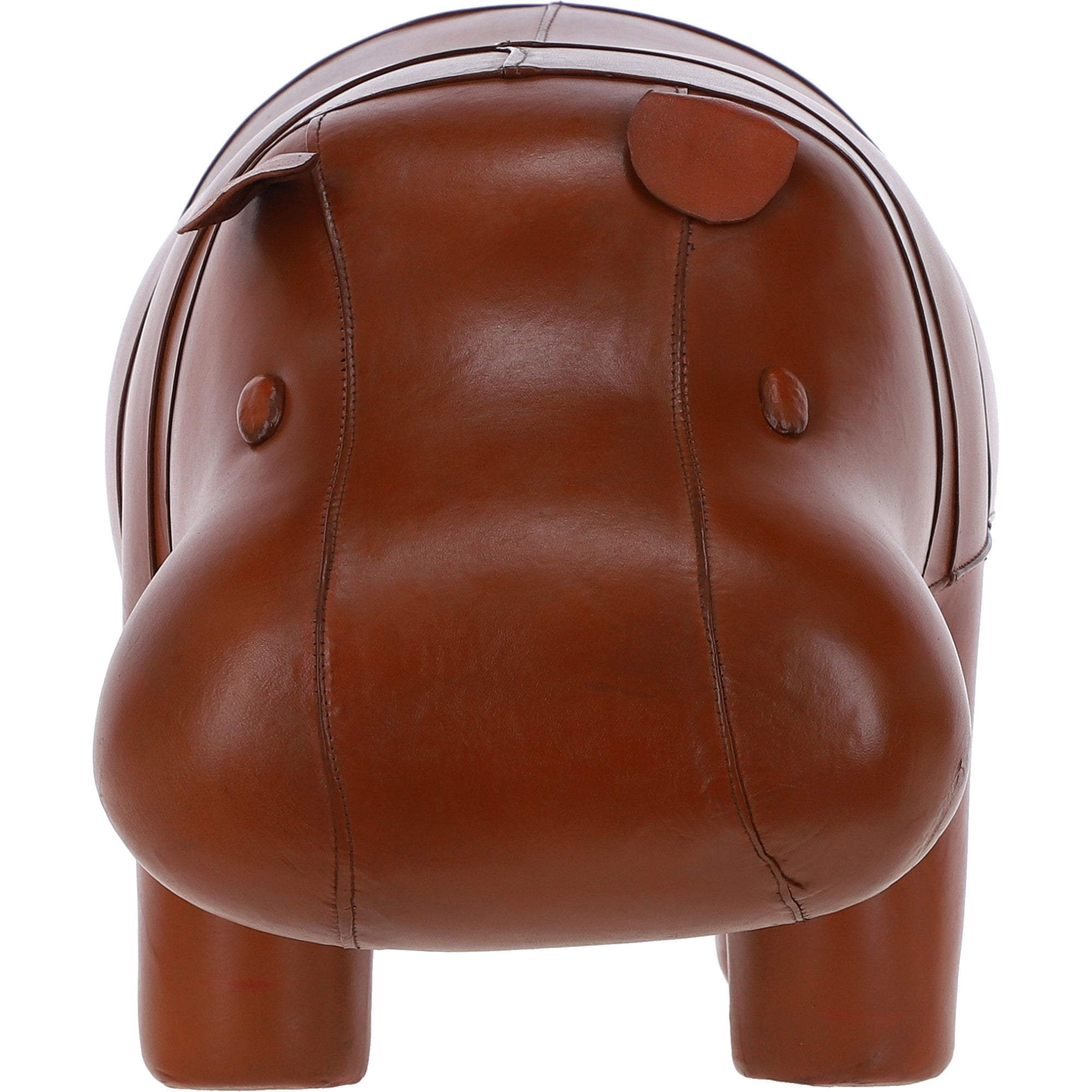 la2-hippo_0001