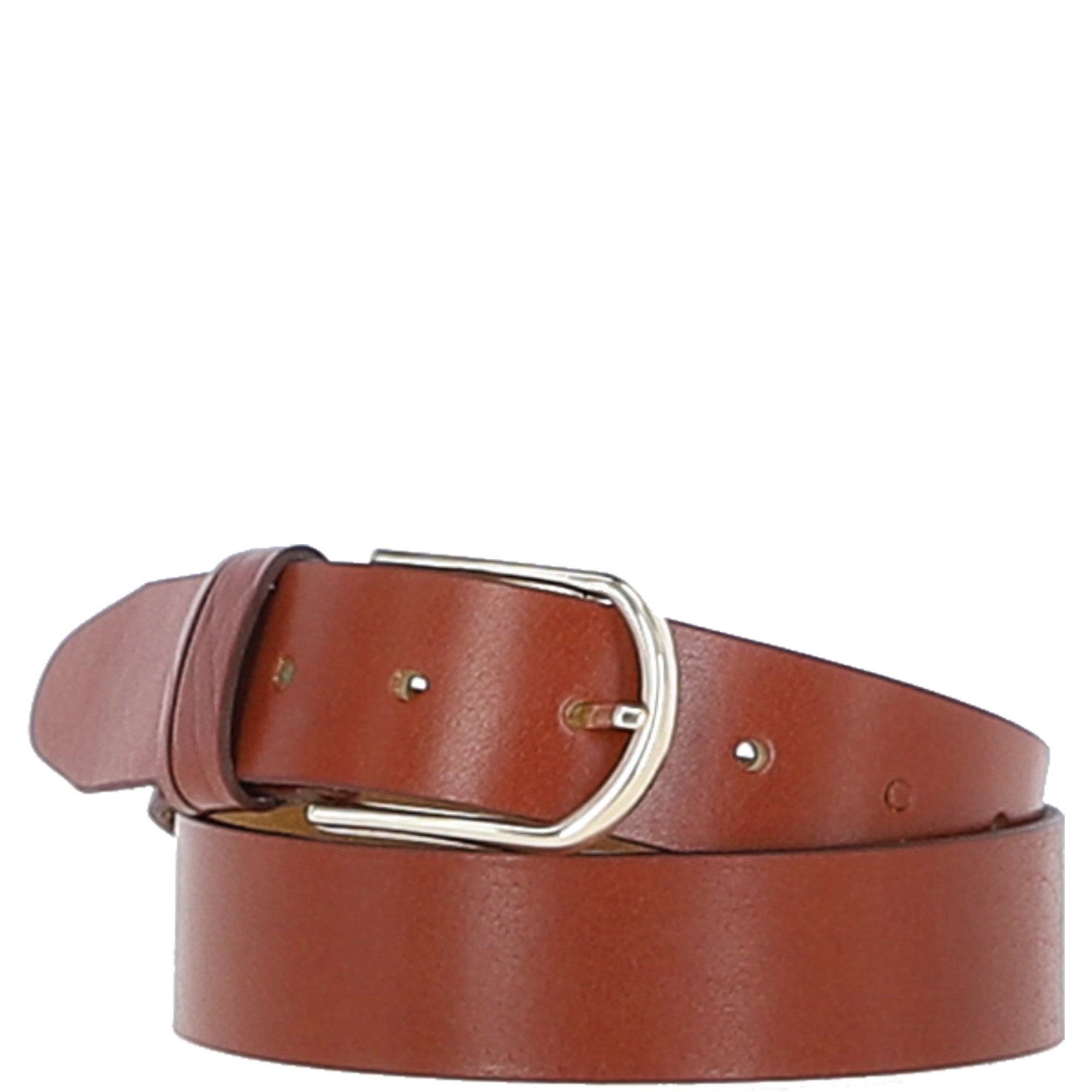 lb-301 chestnut_0002