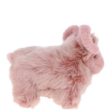 lucky sheep rosa_0010