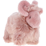 lucky sheep rosa_0012
