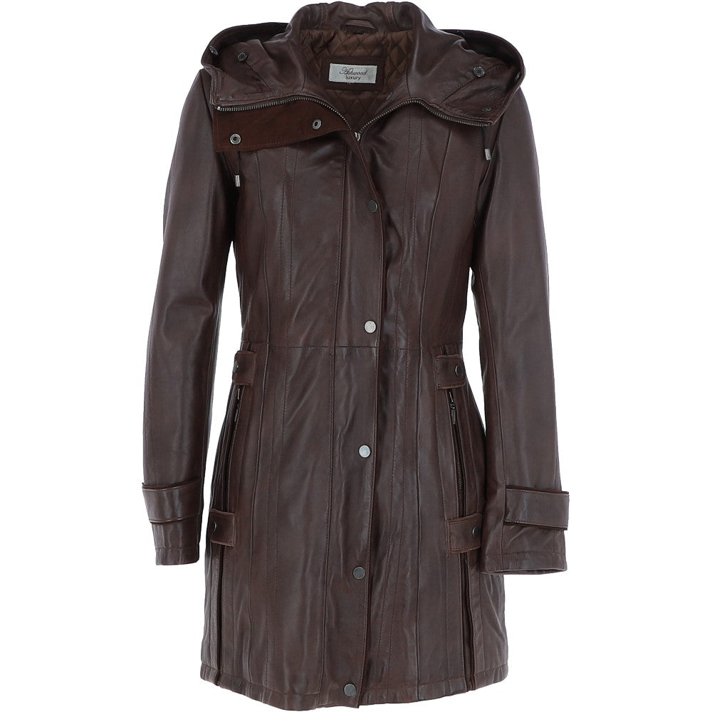 zb 146 with out colur brown_0001