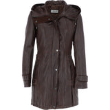 zb 146 with out colur brown_0001
