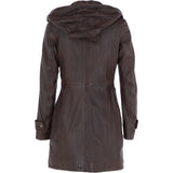 zb 146 with out colur brown_0007